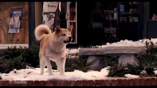 Хатико: Самый верный друг (2009) | Русский трейлер HD | Hachi: A Dog's Tale