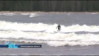 На гребне ледяной волны: в Санкт-Петербурге набирает популярность зимний сёрфинг