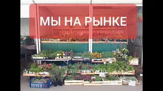 Мы на рынке!! Ассортимент и цены!!