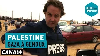 Palestine : Gaza à genoux - L’Effet Papillon