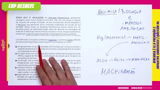 AS LÂMPADAS FLUORESCENTES APRESENTAM VANTAGENS COMO MAIOR (...) | POLUIÇÃO E IMPACTOS AMBIENTAIS