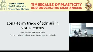 Perspectives & Discussion: Behaviorally relevant synaptic plasticity rules ▸ Conference participants