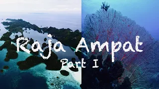 Raja Ampat (4K), Indonesia, West Papua, 2022 Cove Eco (Diving)