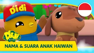 Nama & Suara Anak Hewan | Lagu anak Indonesia | Didi & Friends Indonesia