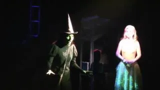 (DUTCH) Musical Wicked - Ik lach om zwaartekracht  (Willemijn Verkaik)