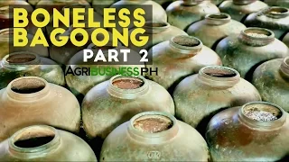 Boneless Bagoong Part 2 : How to Make Boneless Bagoong and  Alamang | Agribusiness Philippines