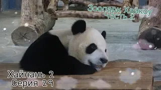 Хайнань2-29 Панды. Зоопарк Хайкоу