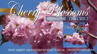 Beautiful Cherry Blossoms Springtime Chill Bonn Sakura -Finest Ambient and Background Music to Relax