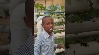 Climate smart agriculture in Kenya: Hydroponics