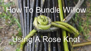 How to bundle willow using a rose knot