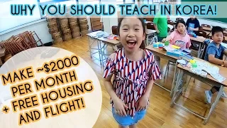 Why You Should Teach in Korea! Living in Korea as an English Teacher!