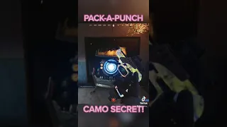 PACK-A-PUNCH HIDDEN SECRET FOUND! Insane camo secret! (Cold War Zombies)