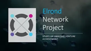 Elrond Network - Революция в мире цифровых технологий