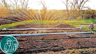 🔥 Heat +30°C in April 💦 Watering the garden with an oscillating sprinkler 🌱 First shoots