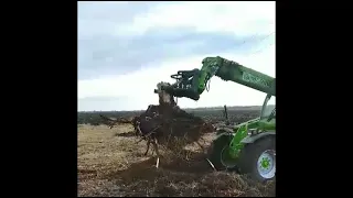 Корчувач дерев на трактор Merlo - корчування пеньків