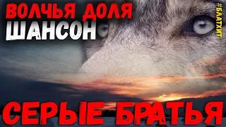 Волчья Доля. Сборник шансона о волках. Серые братья