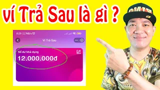 Ví Trả Sau là gì ? Có Nên Sử Dụng Hay Không ?