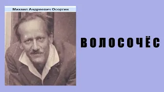 Михаил Осоргин. Волосочёс. Аудиокнига.