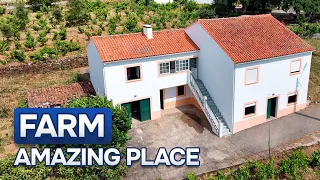 🇵🇹 Amazing Farm for sale | 1.2 hectare of land | 200.000€ | Central Portugal