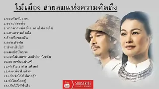 รวมเพลงฮิตของ ไม้เมือง สายลมแห่งความคิดถึง