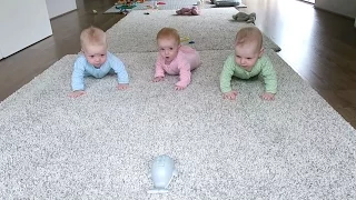 Baby Triplets Having a Race!