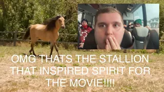 My Reaction To Meet the Horse that Inspired Spirit! | SPIRIT UNTAMED