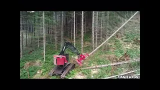 Timberpro feller buncher