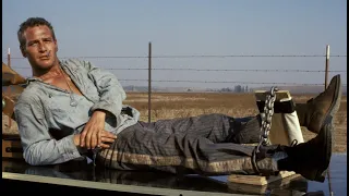 Cool Hand Luke (1967) - starring Paul Newman at his brilliant best