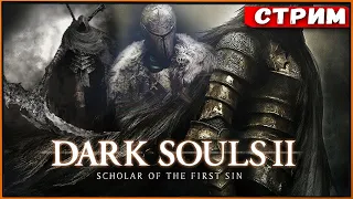 Полное прохождение Dark Souls 2 Scholar of the First Sin Прохождение #19