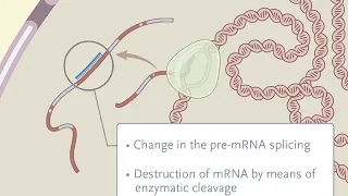 Treating Disease at the RNA Level with Oligonucleotides