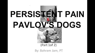 Persistent Pain & Pavlov's Dogs Part 1 of 2