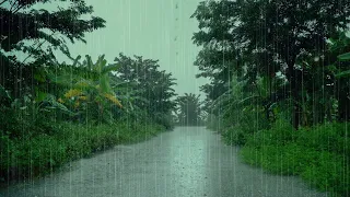 Beat Insomnia to Fall Asleep Immediately with Relaxing Pouring Rain & Thunder Sounds on Forest Road