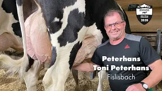 Meisterzüchter | Maître-éleveur 2020 - Toni Peterhans