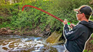 CATCH OF A LIFETIME In A TINY Drainage Ditch!!!