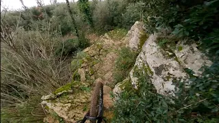 Cicalino Freeride - Monte Arsenti | Massa Marittima Trail Area