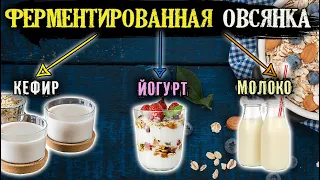 Ферментированная овсянка: идеальный завтрак | Овсяное молоко, кефир и йогурт