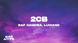 RAF Camora ft. Luciano - 2CB (Lyrics)