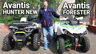 Что хорошего в квадроцикле AVANTIS FORESTER? Сравним с HUNTER 200 NEW PREMIUM