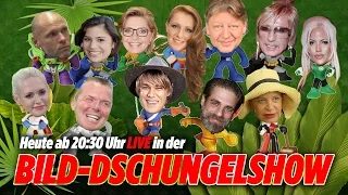 Die große BILD-Dschungel-Show FINALE - TAG 16 - 28.01.17