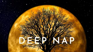 Deep Sleep Music : 30 Minutes to Instantly Drift Away (Very Effective)