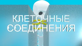 Клеточные соединения | Какие бывают? | Medanatfarm