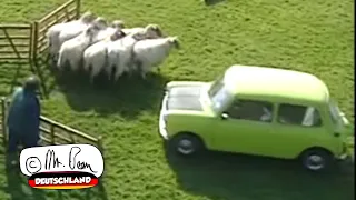 Mr Bean Herden Schafe! | Lustige Mr Bean Clips | Mr Bean Deutschland