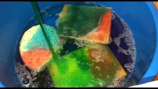 ASMR ~ Squeezing sponges