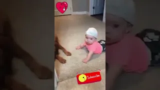 Funny Videos - Baby Tiktoks 😍🤗 #358 #Shorts #Memes #Tiktoks #Baby