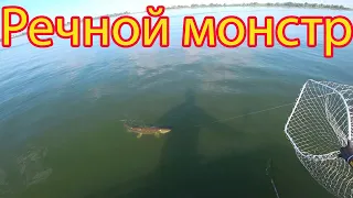 Речной монстр! Такие рыбалки бывают не часто.