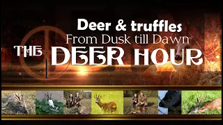 🎯🦌 A Thrilling Roebuck Hunt in the Danubian Plain - The Deer Hour 01