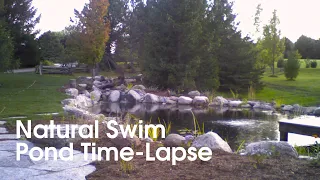 Quiet Nature - Natural Swim Pond Construction Time-Lapse