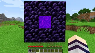 menor portal do nether de todo minecraft...