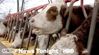 Trump’s Feud With China Is Already Hurting American Farmers (HBO)