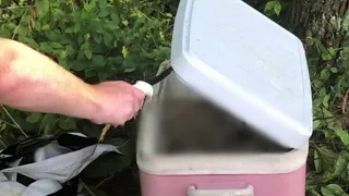 The YouTube Video That Featured A Deceased Baby Inside Of A Cooler
